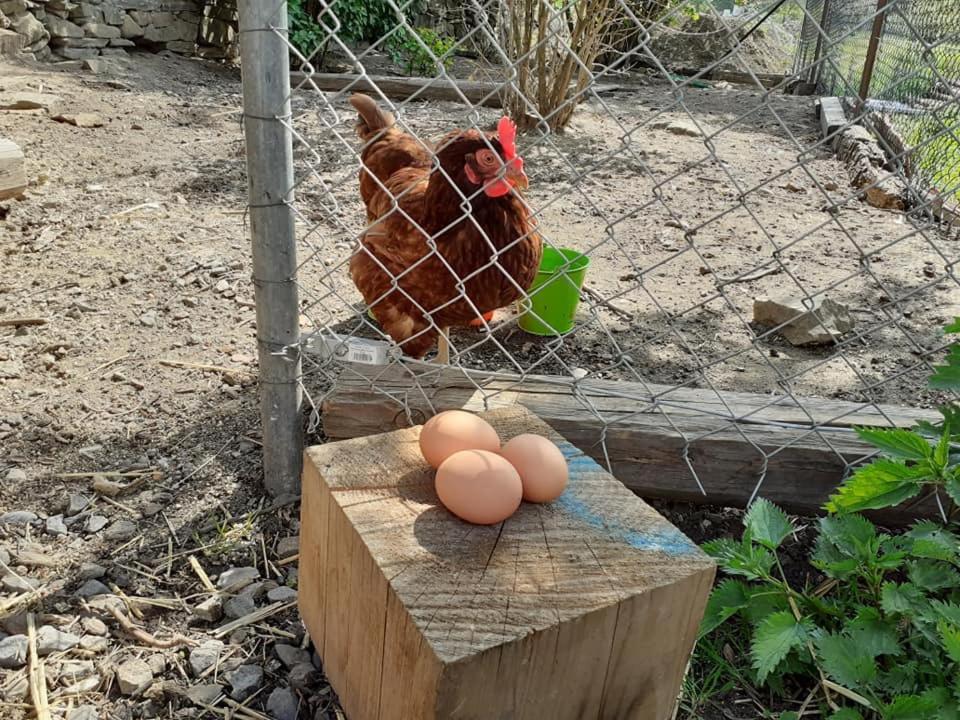 Penzion Mala Farma Nemojany Exteriör bild